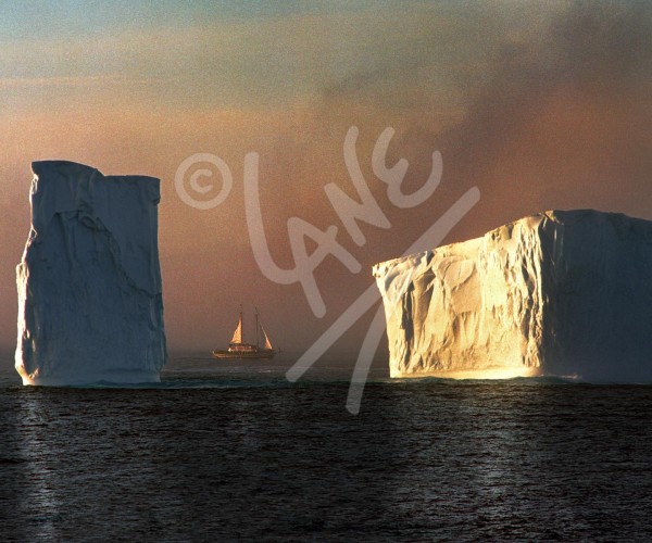 Cape Spear, iceberg at sunset